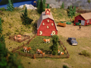 Dairy Farm Dairy Farm